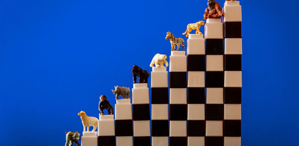 All about that BaaS : The Future of Banking is Open