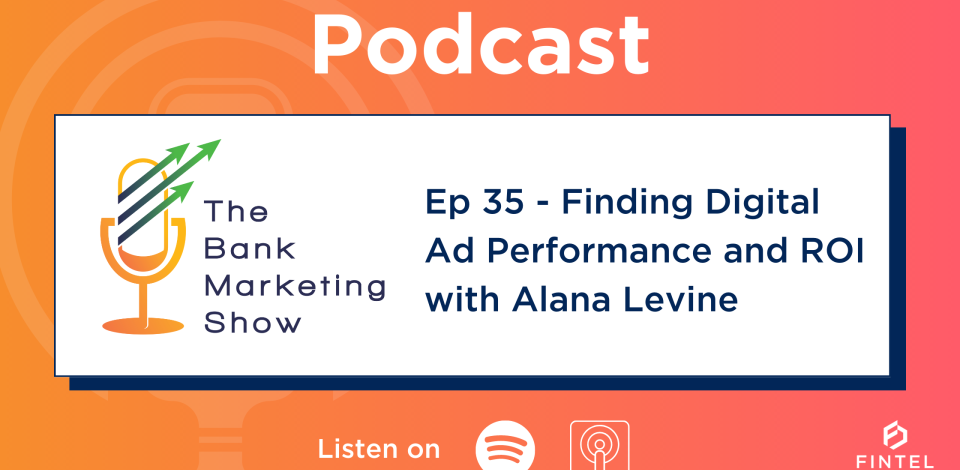 Podcast: Finding Digital Ad Performance and ROI with Alana Levine