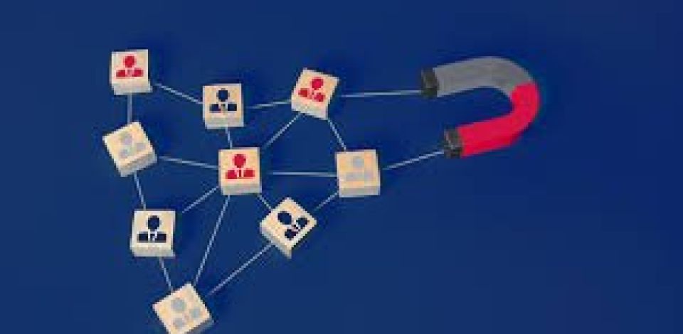 Affiliate Partner Types That Actually Grow Financial Affiliate Programs in 2026